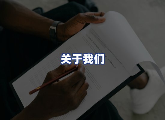 专业团队